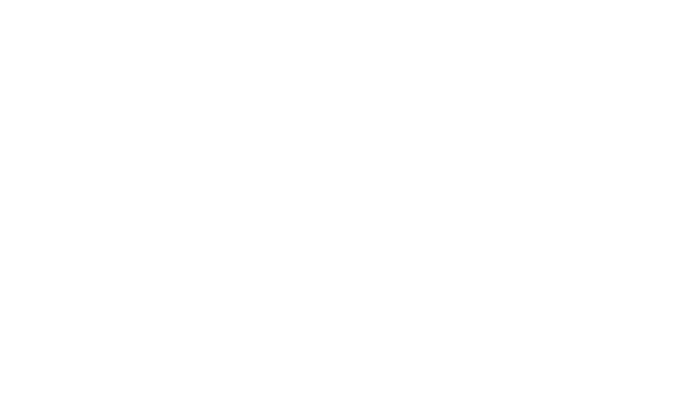 The 9.11 Promise